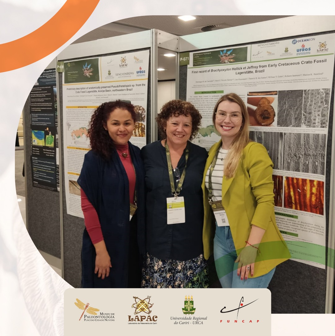 Curadoras do museu participam do XV IPC – XI IOPC na República Tcheca